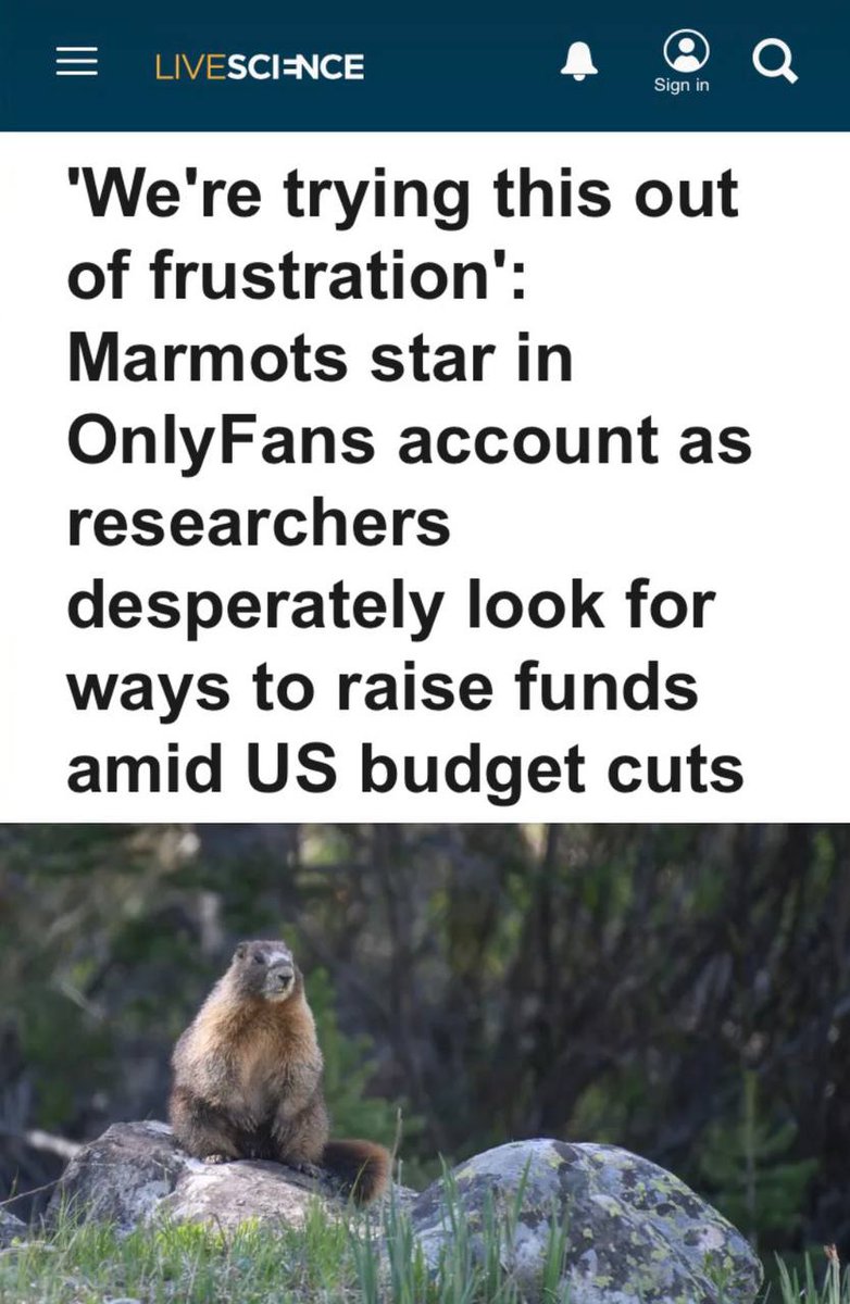 nexta_tv's tweet photo. “We’re trying this out of desperation”: Scientists launched an OnlyFans for marmots to save their research

Researchers from the University of California found an unusual way to raise money for science — they created an OnlyFans page. But instead of adult content, it features videos of yellow-bellied marmots.

The project, jokingly named OnlyMarms, helps fund a long-term animal study that scientists have been conducting for more than 60 years at a research station in the Rocky Mountains of Colorado.

Project leader Daniel Blumstein said the service will not replace scientific grants, but it can help cover some expenses and attract public attention to the research.

The page features videos of marmots playing, digging burrows, searching for food, and interacting with each other.