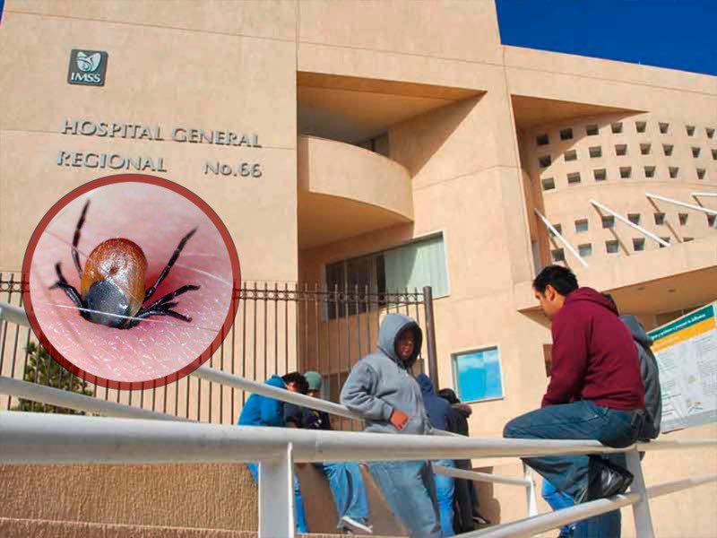 NoticiasRFD's tweet photo. #Chihuahua | Un niño de diez años, identificado como Jhony M., falleció derivado de las complicaciones por rickettsiosis, enfermedad contagiada por la mordedura de una garrapata, y quien había sido hospitalizado desde días atrás.

https://t.co/c7vCtPKQU9 https://t.co/9zNbQKdwqt