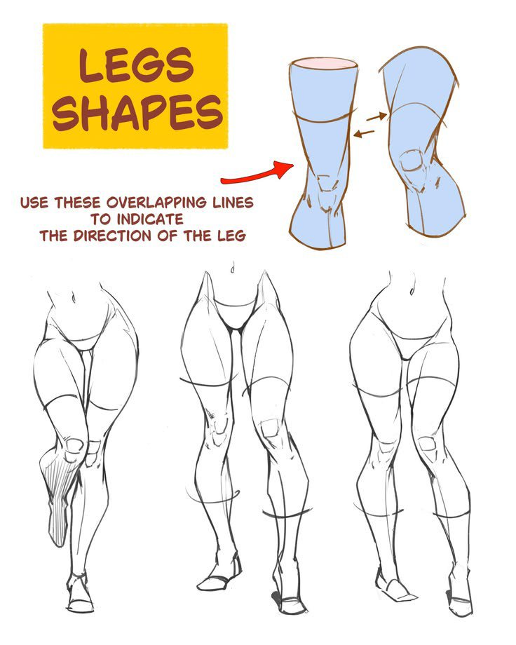 comixsenpai2005's tweet photo. Found this... THEM LEGS shapes https://t.co/c5R7k6SUE1