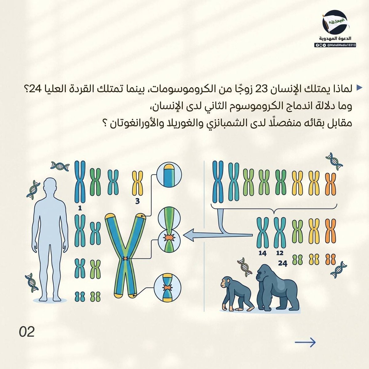 AlhamaamiM's tweet photo. هل يفسّر التطوّر التغيّر فقط، أم يكشف عن النظام الدقيق الذي أتاحه؟

للمزيد من المعلومات راجع للمصادر المذكورة في آلبوم المرفق  

و للمناقشة و المعرفة أكثر وأدق يمكنكم مراجعة كروب #الدعوة_المهدوية المموجود في بايو حسابي
#وطني_الحسين https://t.co/He7SvjpJSA