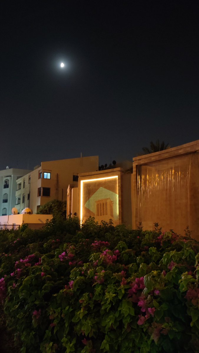 MIRZAAKBARA313's tweet photo. Bahrain Adliya night✨ https://t.co/r9RPUvR3ty