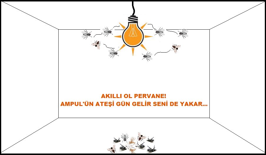 nihat_abi_'s tweet photo. @Erentepeli547 @TURKHazall Ampul ve sinek deyince aklıma geldi; arşivde böyle bir şey var! https://t.co/C9pU1ycq3w