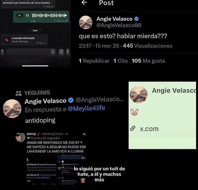 MatiSalchipapaa's tweet photo. Ya que @AngieVelasco08 pidió ver las evidencias, hilo de cosas que ha dicho, y hecho en referencia a @alondrisaa https://t.co/T4uAbOvNal