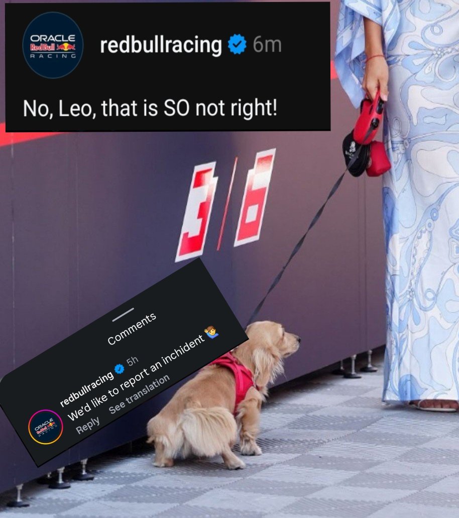 MV33Racing's tweet photo. Leo really kept the Red Bull admin busy today 😂 https://t.co/AS75CZrmrL