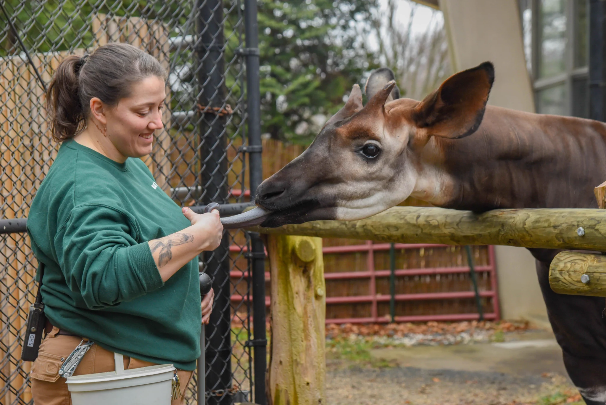 Maryland Zoo (@marylandzoo) on X