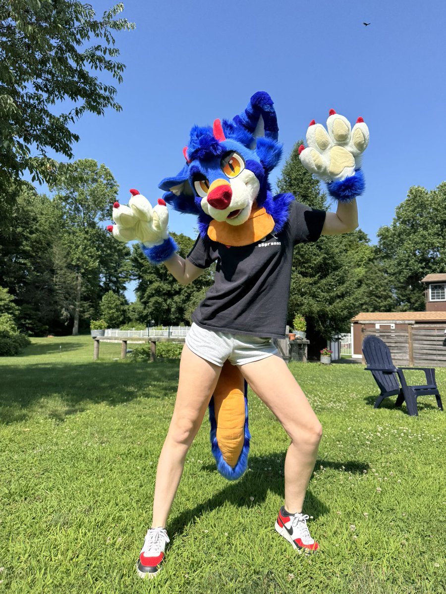 torquecroc's tweet photo. it’s torques first #fursuitfriday !! Just got him yesterday and could not be happier!! 
#furry #fursuit https://t.co/qZaXTrQIMG