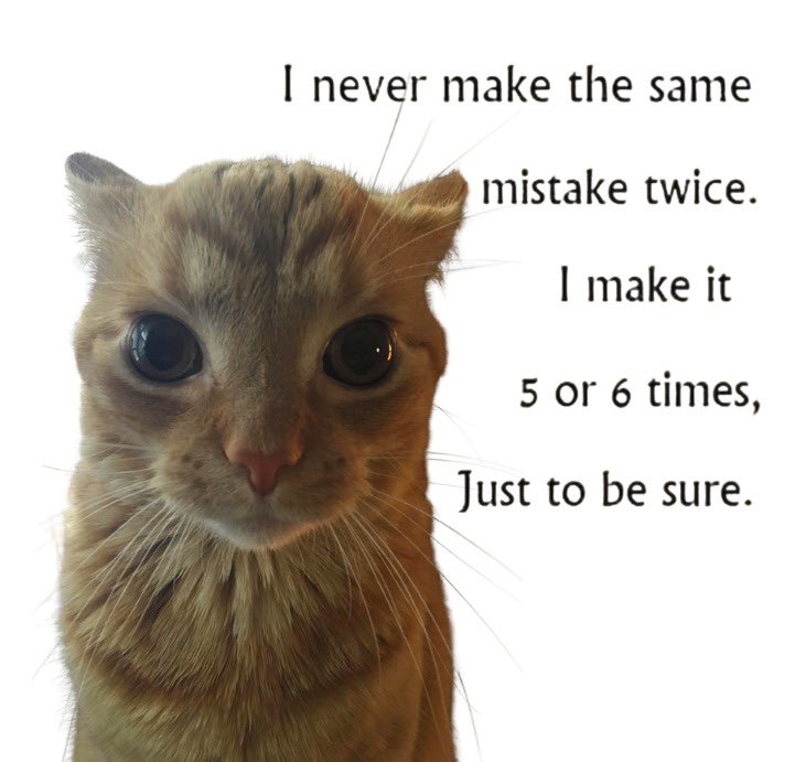 gakstercat's tweet photo. https://t.co/u03rnA7hV8