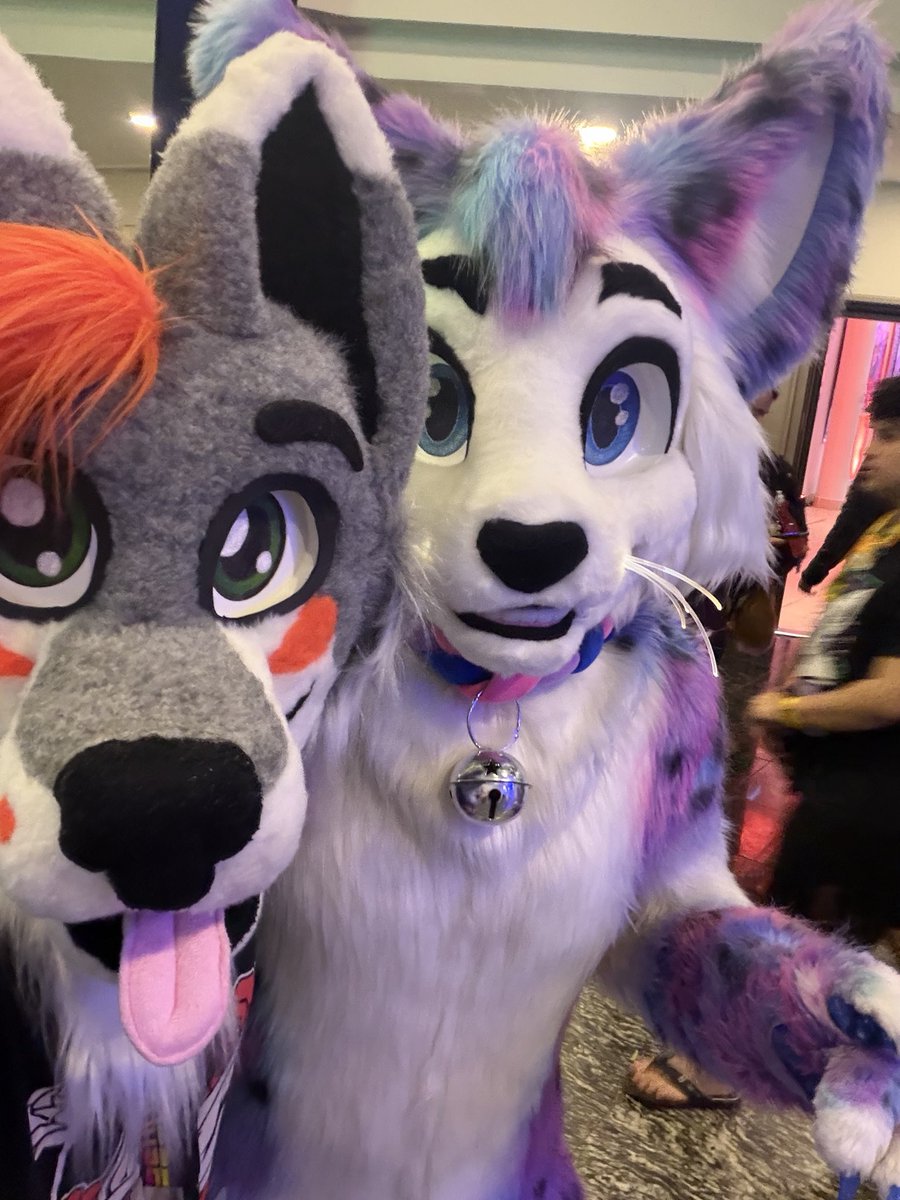 fisakewolf's tweet photo. #Fursuitfriday look at this kitty https://t.co/GcNhtO8Zal