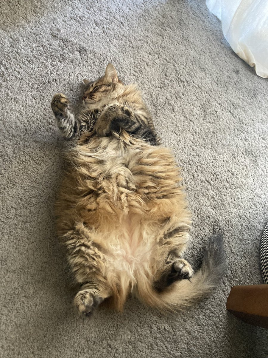 solsuperfoodcom's tweet photo. Sleeping on your back is sometimes tough, but clearly better https://t.co/Ya6r1MdLjQ