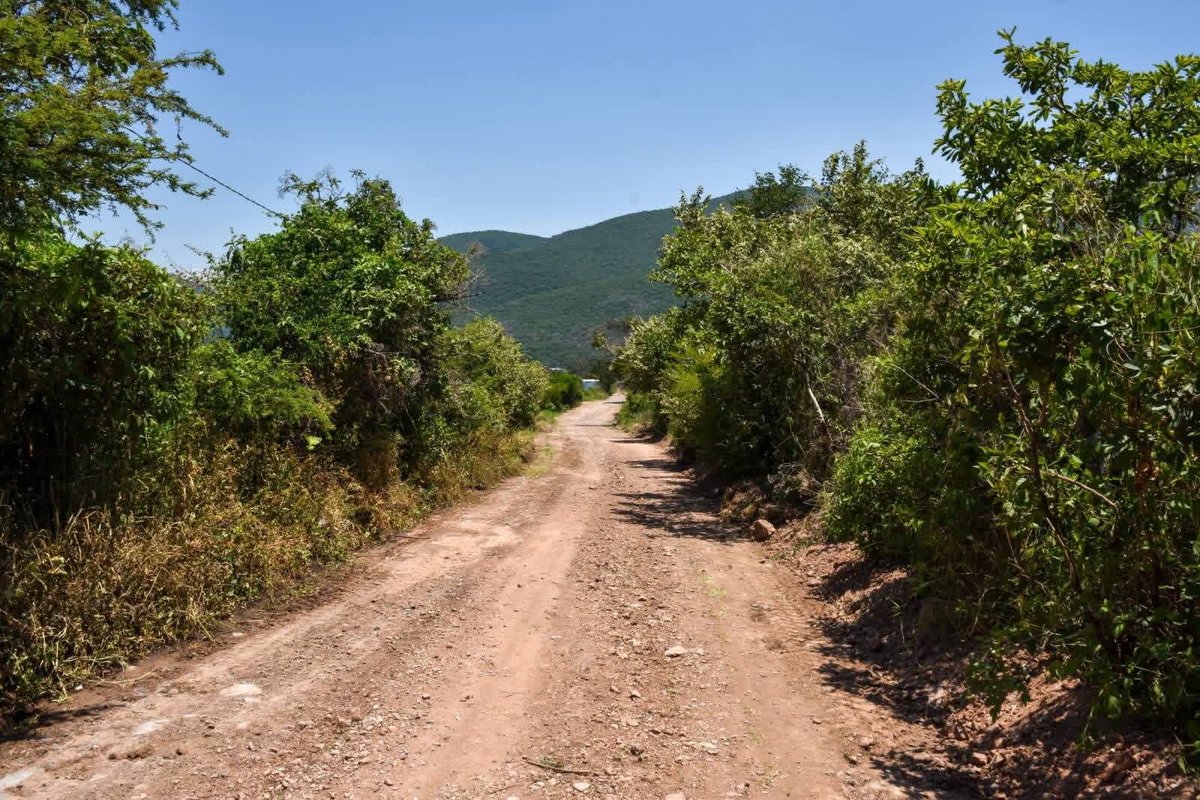 zonacritica17's tweet photo. Mejora Gobierno del EdoMéx Infraestructura Rural en la Región Tenancingo con Rehabilitación de Caminos y Desazolve de Cuerpos de Agua https://t.co/tCyUlryfal https://t.co/0uxEYMUHvH