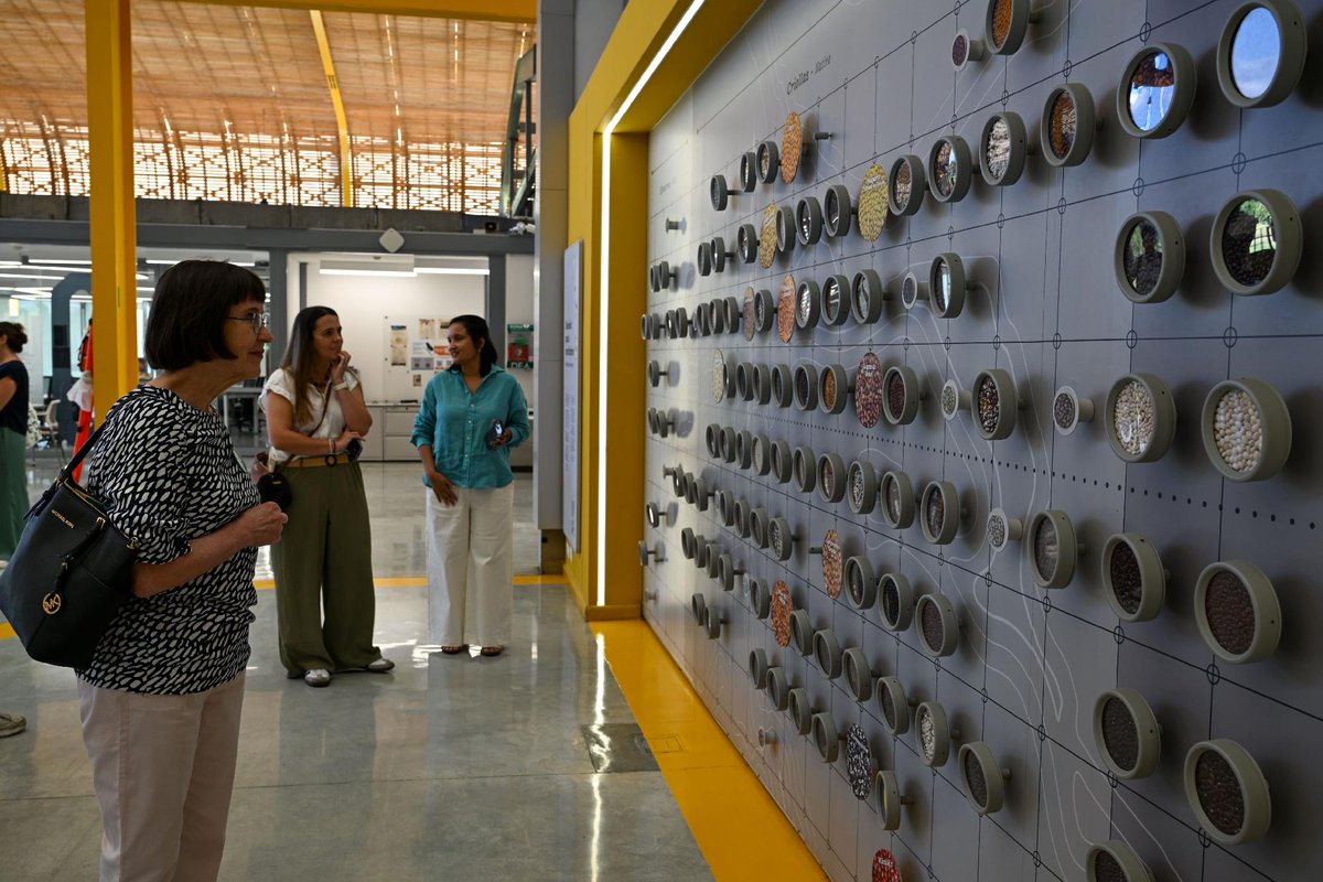 Alianza de Bioversity International y el CIAT tweet media