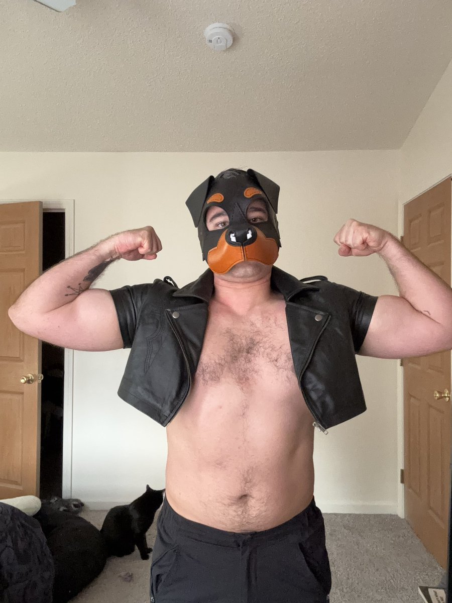 Rottie Pup Spirt tweet media