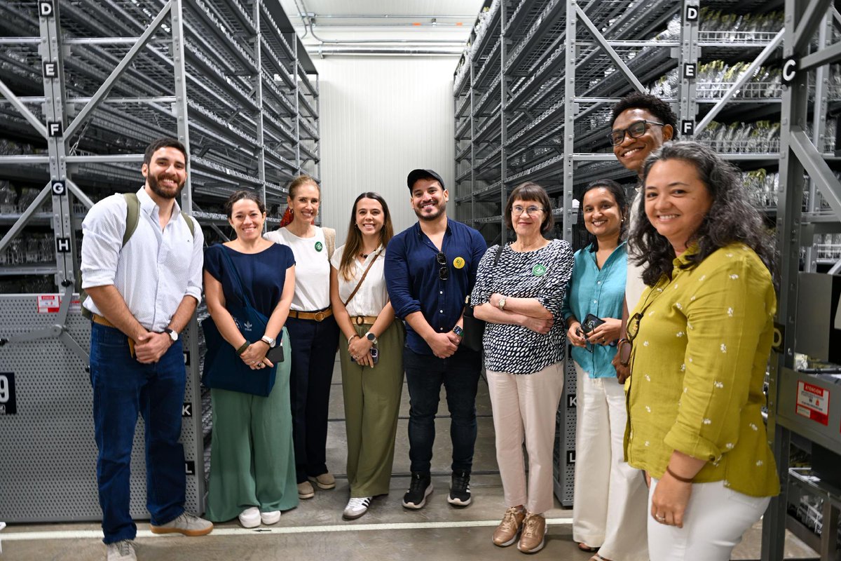 Alianza de Bioversity International y el CIAT tweet media