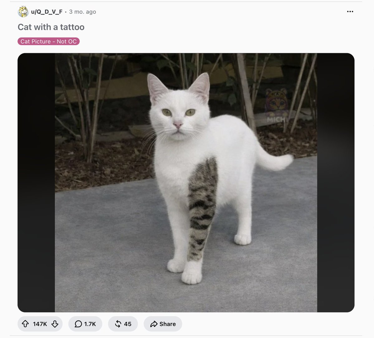 かっちゃんZ tweet media