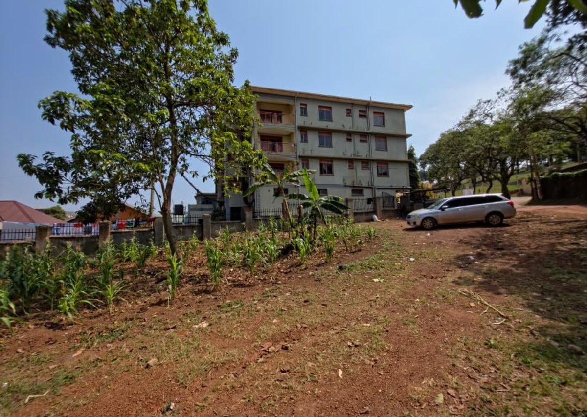 Uganda Professional Agency tweet media