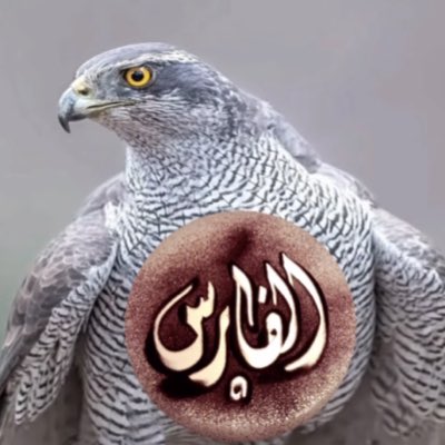 9_k888's tweet photo. #صورة_جديدة_للملف_الشخصي https://t.co/lDbHq8tUoV