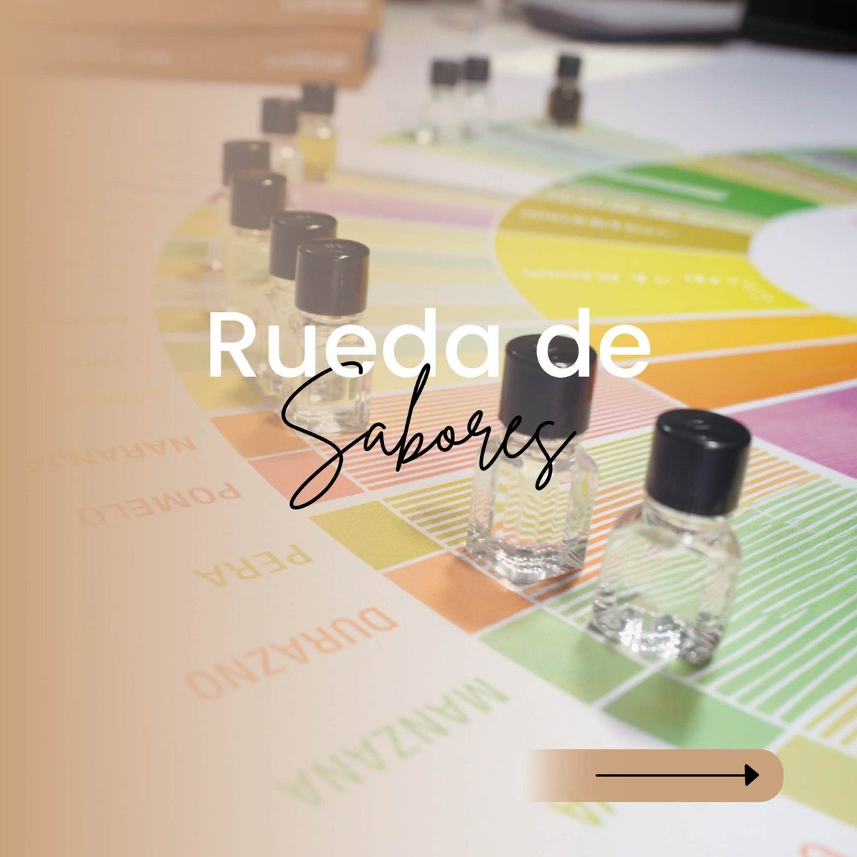 PosdataCafeBO's tweet photo. ¿Has utilizado alguna vez la rueda de Sabores?
¿Cuáles son tus sabores favoritos?
❤️☕ https://t.co/9g0qCcnnxv