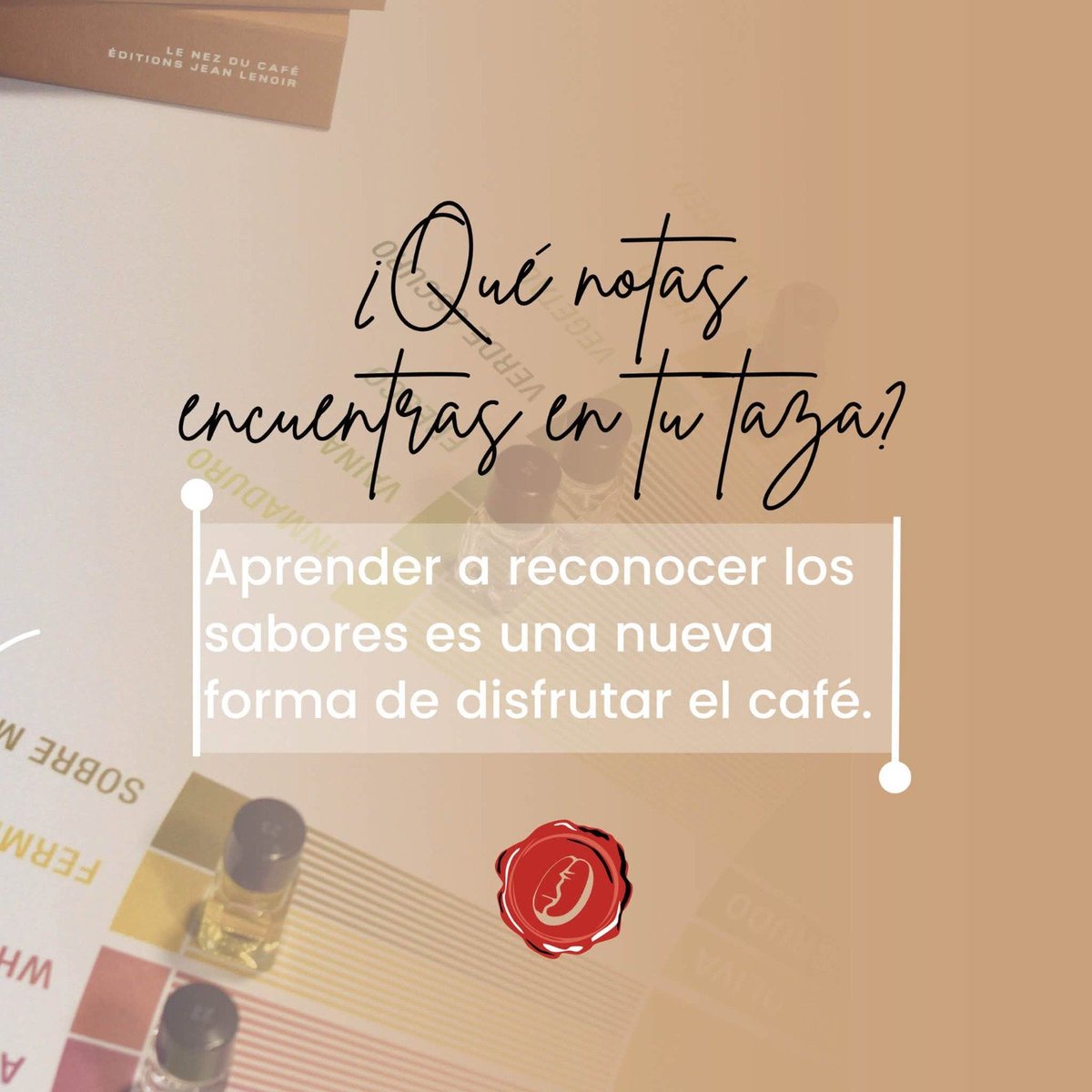 PosdataCafeBO's tweet photo. ¿Has utilizado alguna vez la rueda de Sabores?
¿Cuáles son tus sabores favoritos?
❤️☕ https://t.co/9g0qCcnnxv