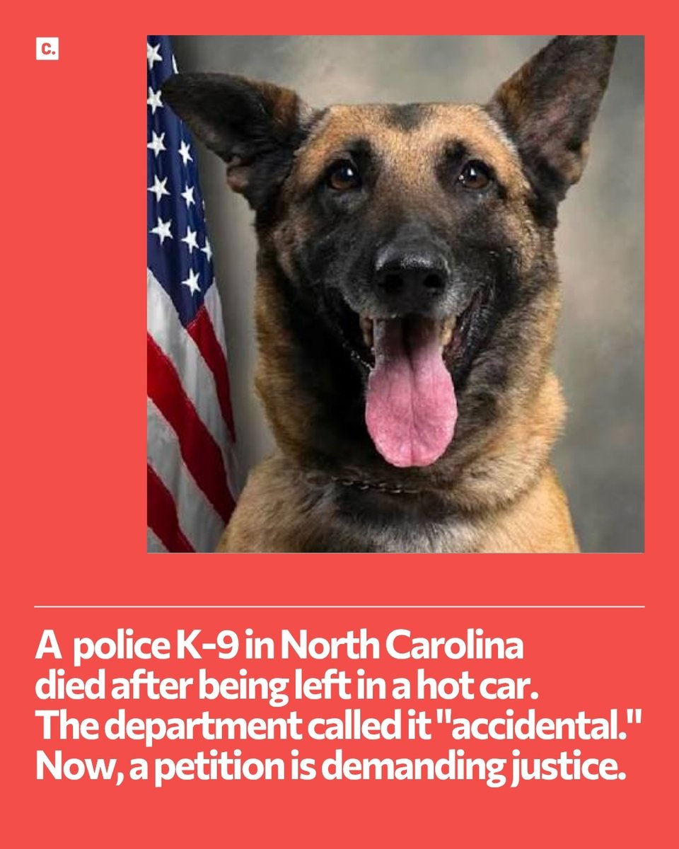 Change's tweet photo. K9 Chilli, a 4-year-old bomb detection dog with the Pitt County Sheriff's Office in North Carolina, died June 11 after being left inside a patrol vehicle on a day that reached 99 degrees. The department's internal investigation ruled it an accident, but the sheriff's office didn't disclose the death publicly until six weeks later and has yet to share how long Chilli was inside the vehicle.

A petition is calling on Pitt County officials to open a criminal investigation and release the full record of what happened.

To read or sign, head to the link in bio.

#K9Chilli #PittCounty #NorthCarolina #PoliceDog