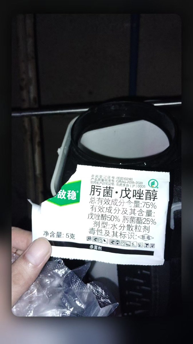 tt9617's tweet photo. 下雨下雨下雨

给3天高温高湿
修剪、扫地、打药

下雨下雨下雨 ... https://t.co/3ePBTcTF4z