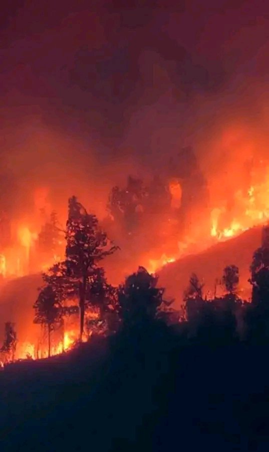 RLongidimo's tweet photo. 🚨🚨🚨🚨🔵 Flash : la France appelle à l’aide face aux feux en gironde, La france a activé le mécanisme de protection civile de l’union européenne face à l’incendie hors norme qui ravage la gironde depuis mercredi. selon la préfecture, 12 500 hectares de forêt ont déjà brûlé à saumos et le feu reste incontrôlable. l’évacuation totale a été ordonnée dans la nuit pour le porge et la presqu’île du cap ferret, portant à 44 000 le nombre de personnes évacuées en deux jours. au moins 80 maisons ont été touchées ou détruites. des renforts aériens allemands sont déjà arrivés pour aider les 1 000 pompiers mobilisés.  

Image d'illustration ⚠️⤵️⤵️⤵️⤵️