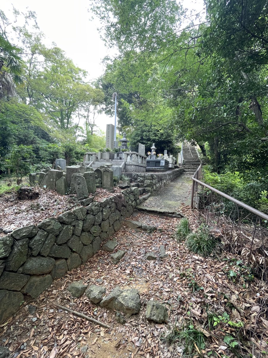 duke20041's tweet photo. 新九郎、奔る!に出てきた石脇城を探訪
天守閣も堀も無い山城跡からしか摂取できない貴重な栄養があるのを実感。

鉄砲がない時代、地形をめぐり城兵がどのように配置され攻め手がどのように攻略したかが鮮明に思い浮かび飯が進む🍙🍙🍙 https://t.co/Dtm1bByVMa