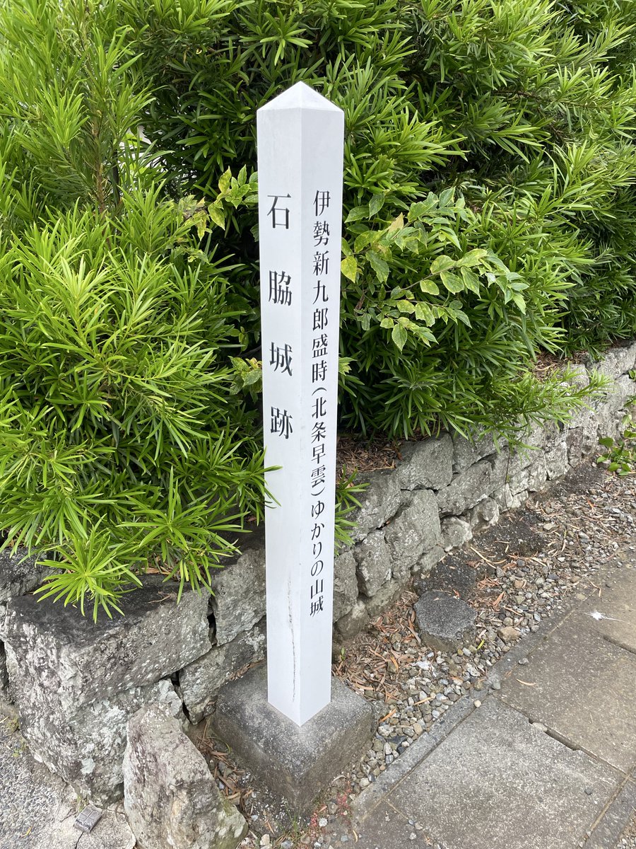 duke20041's tweet photo. 新九郎、奔る!に出てきた石脇城を探訪
天守閣も堀も無い山城跡からしか摂取できない貴重な栄養があるのを実感。

鉄砲がない時代、地形をめぐり城兵がどのように配置され攻め手がどのように攻略したかが鮮明に思い浮かび飯が進む🍙🍙🍙 https://t.co/Dtm1bByVMa