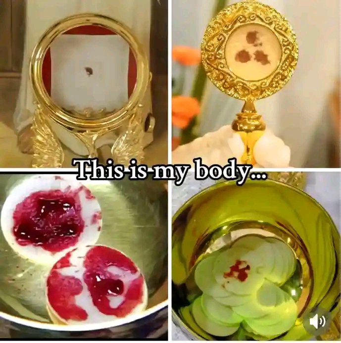 Petermary1234's tweet photo. This is my body take and eat, this is my blood take and drink,if only we know the power of the blessed body and blood of Jesus Christ can do for us,we will try are best to receive him in the state of sanctifying grace. God bless you all Amen. https://t.co/FjrisQ44d7