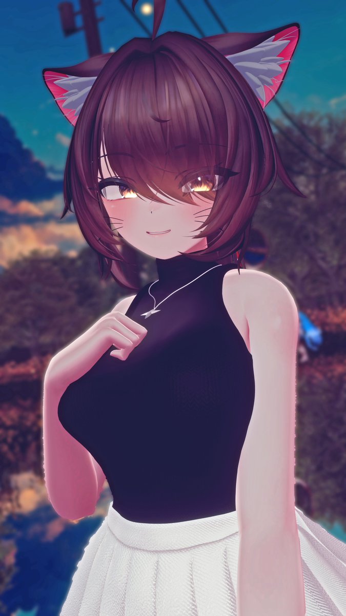 CattoVR tweet media