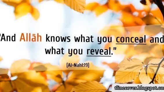 Aashi_was tweet media