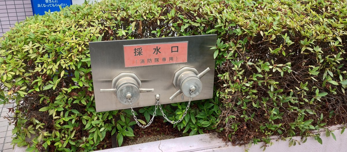 あっし tweet media