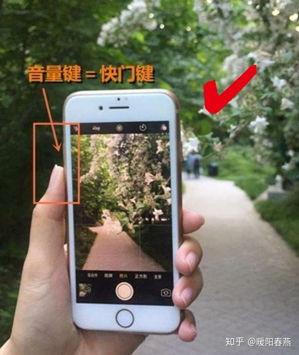 cheolsu56129's tweet photo. New to photography Start with mastering your phone camera’s grid feature – it’s free, turns basic shots into balanced, pro-looking ones instantly!  #PhotoTipsForBeginners https://t.co/gD22h2HT4l
