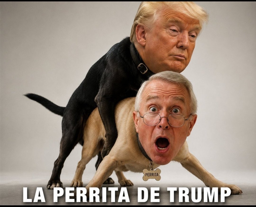 EnMaGve's tweet photo. #LaPerritaDeTrump ja ja ja ja 😂 
@RicardoBSalinas https://t.co/t1Fgg8m1SV