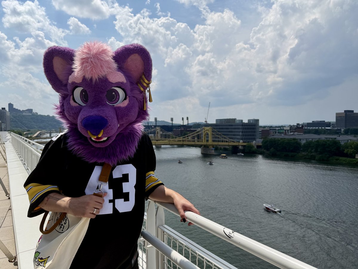styxyeen's tweet photo. Love the steel city 🖤💛

📸 - @FairfoxLibrary 

#fursuitfriday #herewego https://t.co/TF0qYUSq19