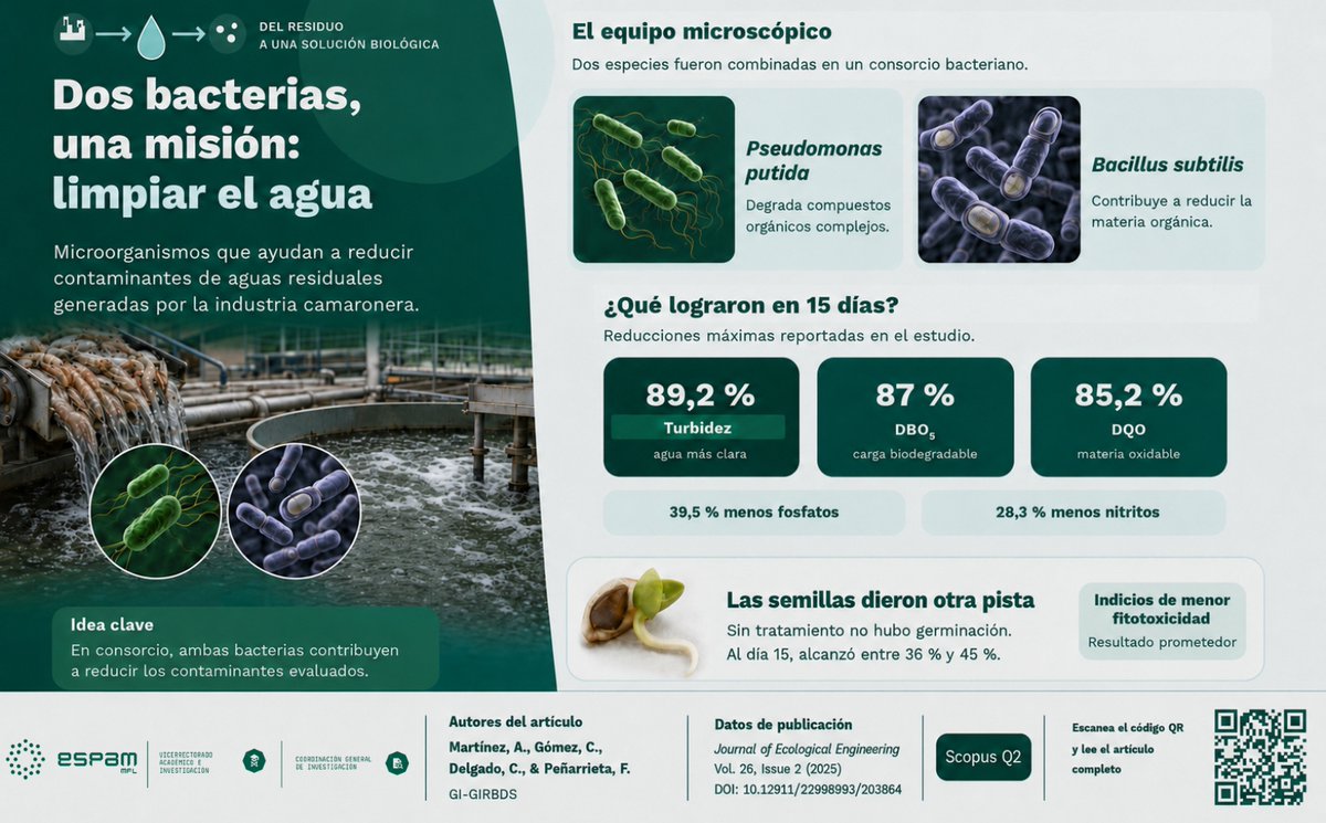 CGI_ESPAMMFL's tweet photo. 🦠💧 Dos bacterias, una misión: limpiar el agua

En solo 15 días, lograron reducir contaminantes presentes en aguas residuales de la industria camaronera, demostrando el potencial de las soluciones biológicas. 🌱

🔗 Lea el artículo: https://t.co/yj799HO8Yy

#IndustriaCamaronera https://t.co/nIYwbDBNNC