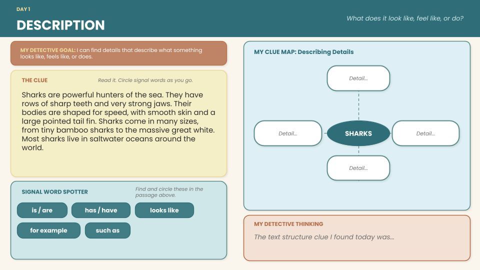 mrshowell24's tweet photo. Help students become text structure detectives. This resource gives them a clear way to notice how information is organized so comprehension gets stronger. Watch: https://t.co/hlaLMySi22 https://t.co/KPITgAqqer