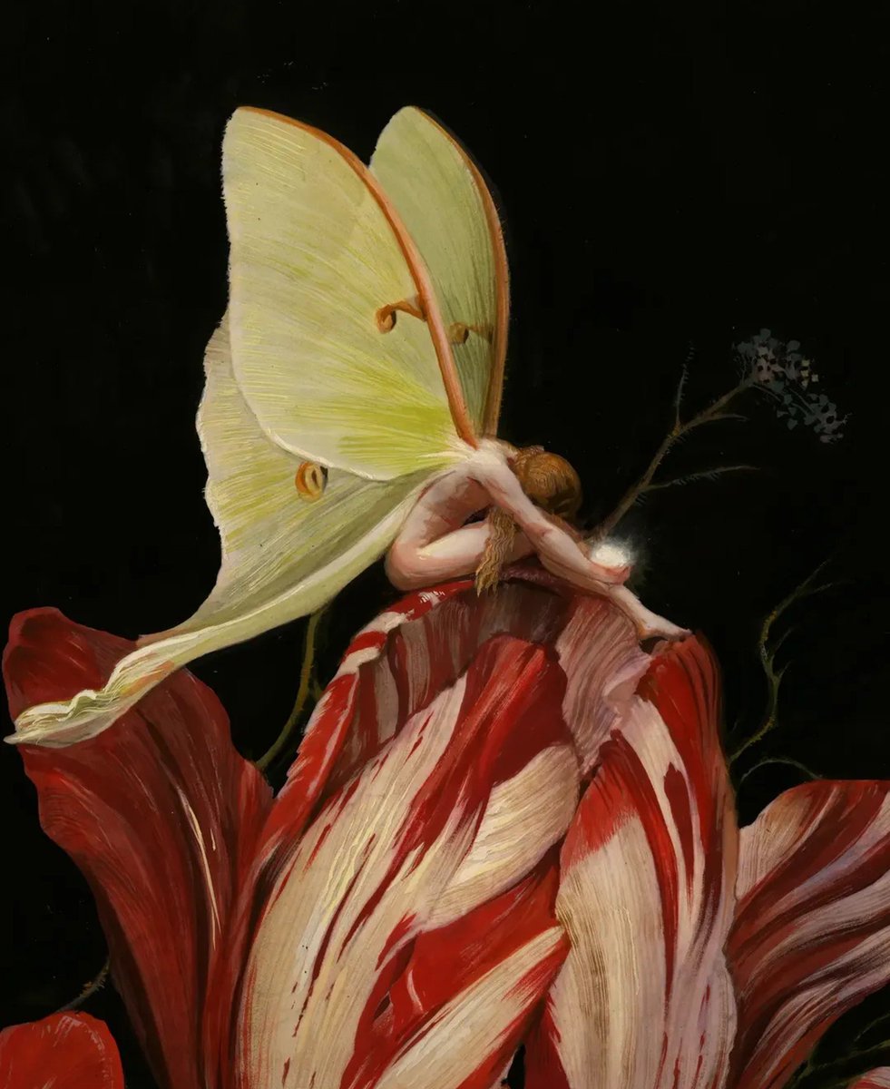 nastachka88's tweet photo. A Sleeping Fairy.
Art by Bill Mayer. https://t.co/hiFU4j03Kv