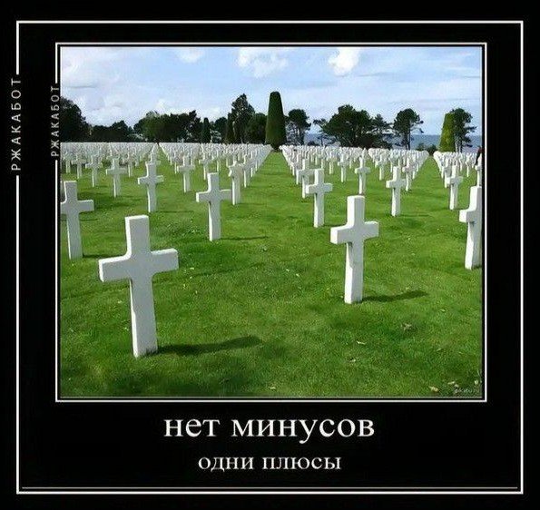 not_thesaint's tweet photo. Поздравляю всех с окончанием маскарада! Празднуем у могилки Майки) https://t.co/AKtWlXbcr9