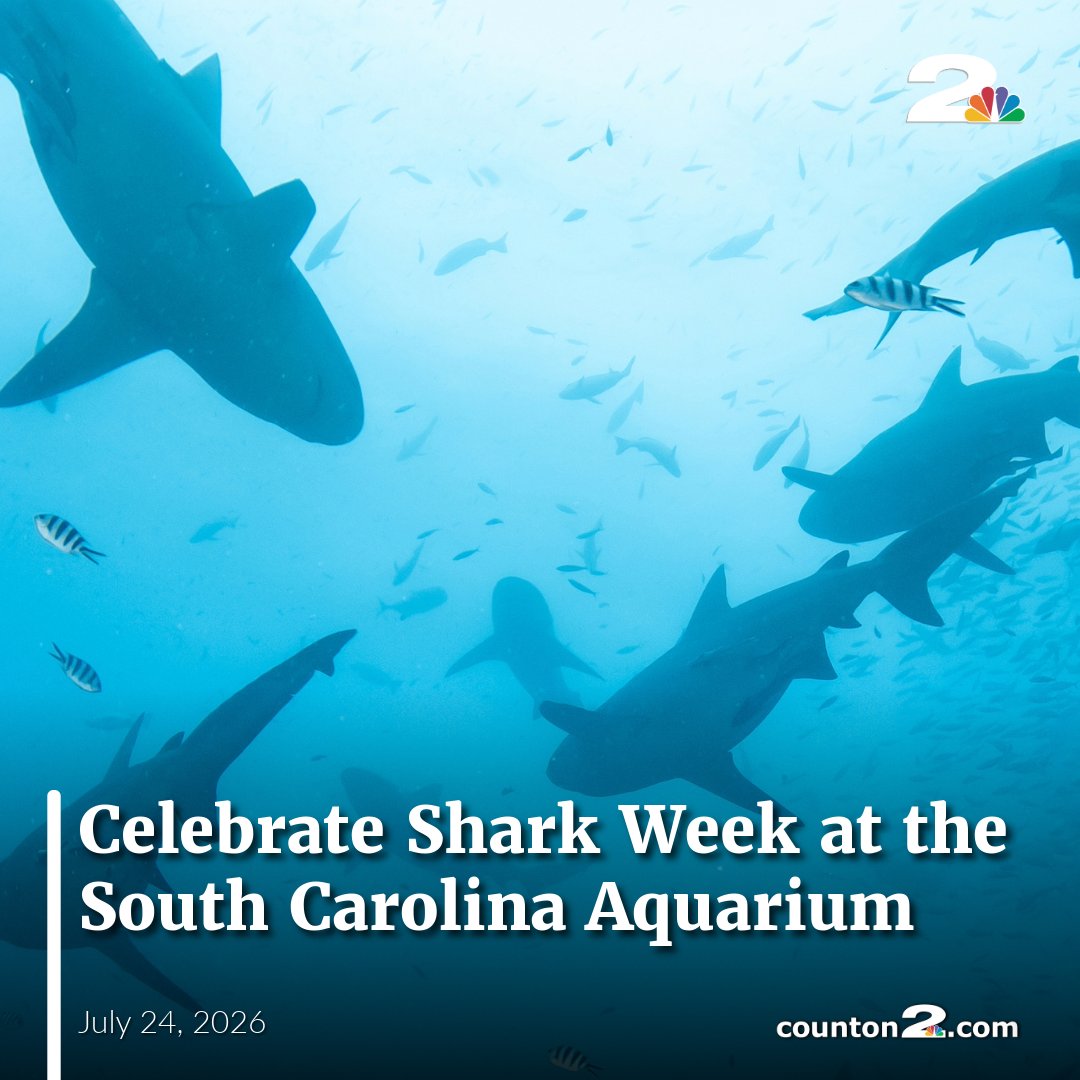 WCBD's tweet photo. Shark Week comes to the South Carolina Aquarium starting on Saturday. You won’t need a bigger boat for these shark-themed activities!

>> https://t.co/R2uS8Z6MLK https://t.co/YnTbAH4Q2r