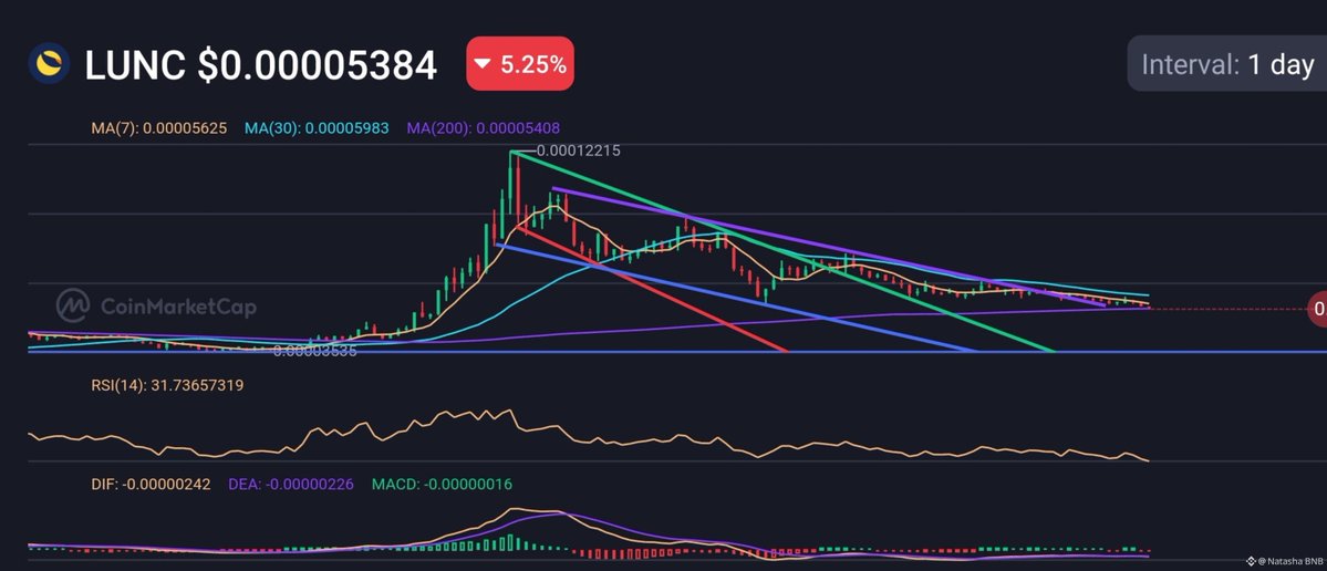 SmCrypto_bro's tweet photo. $LUNC has reached a make-or-break zone. 📉

Price is sitting right on a major long-term support while the RSI is slipping into oversold territory. This is usually where emotions take over.

Weak hands panic.
Smart money watches.
Patient investors wait for confirmation instead of chasing fear.

I'm not calling the exact bottom—because nobody can. But one thing is clear: the next few candles could decide whether $LUNC stages a strong recovery or breaks into another leg lower.

Stay disciplined. Manage your risk. The biggest opportunities often appear when the market feels the most uncomfortable.

#LUNC #TerraLunaClassic #Crypto #Bitcoin #Altcoins #Trading