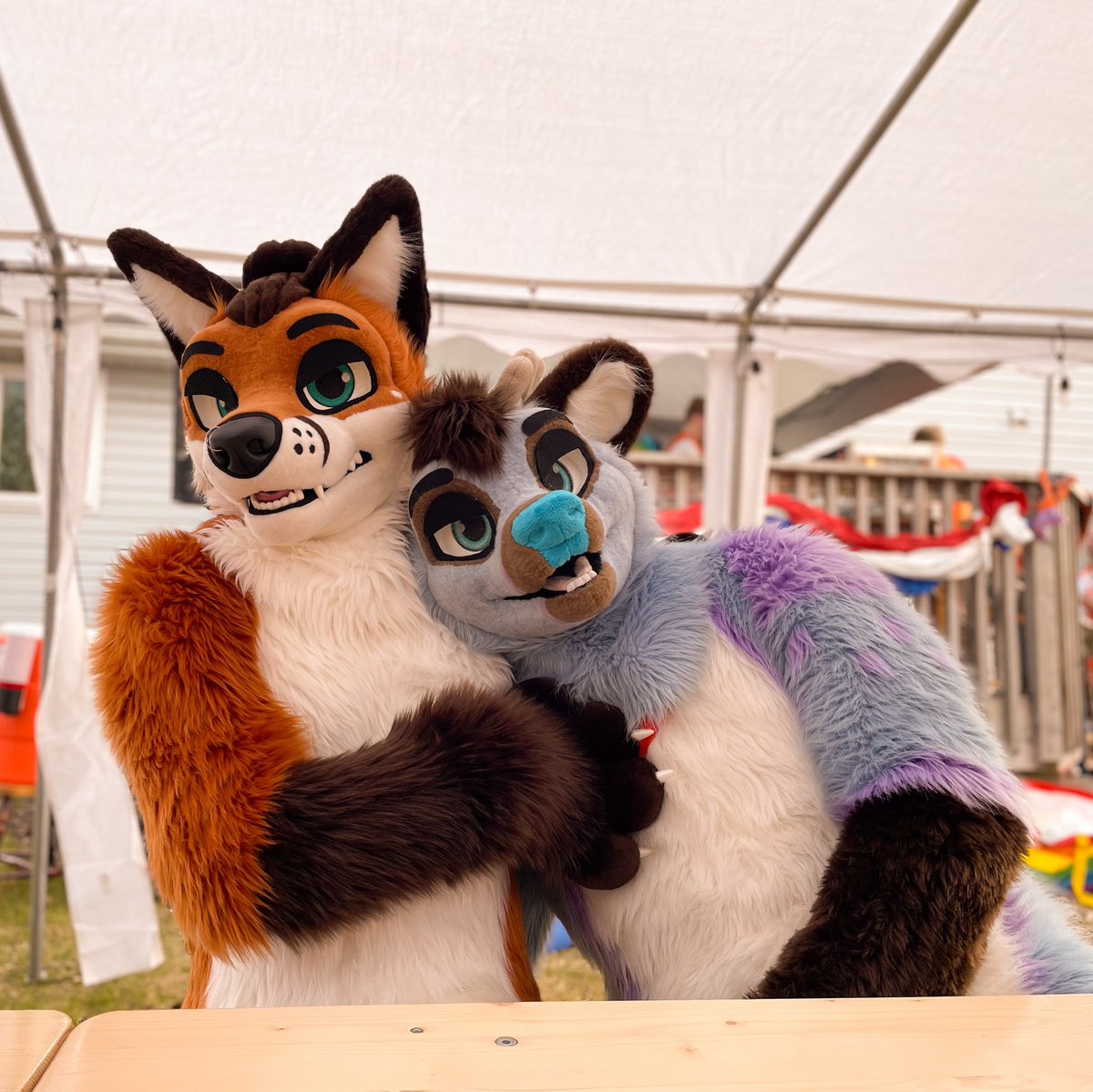 Sondyr. 🦊 tweet media
