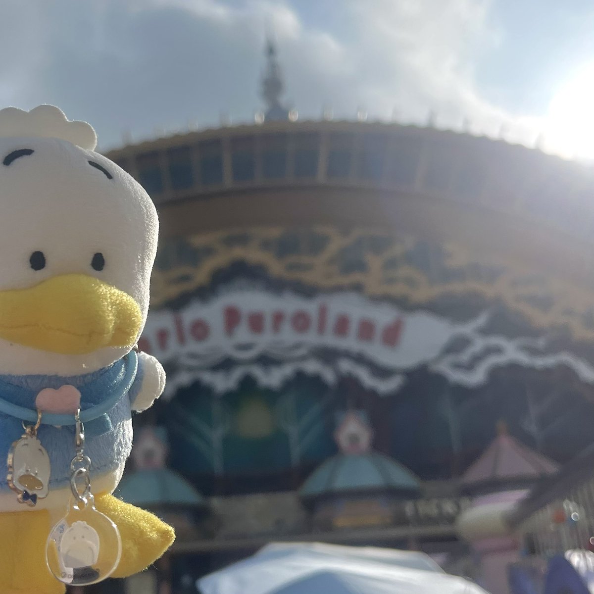 req_pekkle's tweet photo. おめでとうしにきたー！！🎉 https://t.co/4iRz5SQ3TB