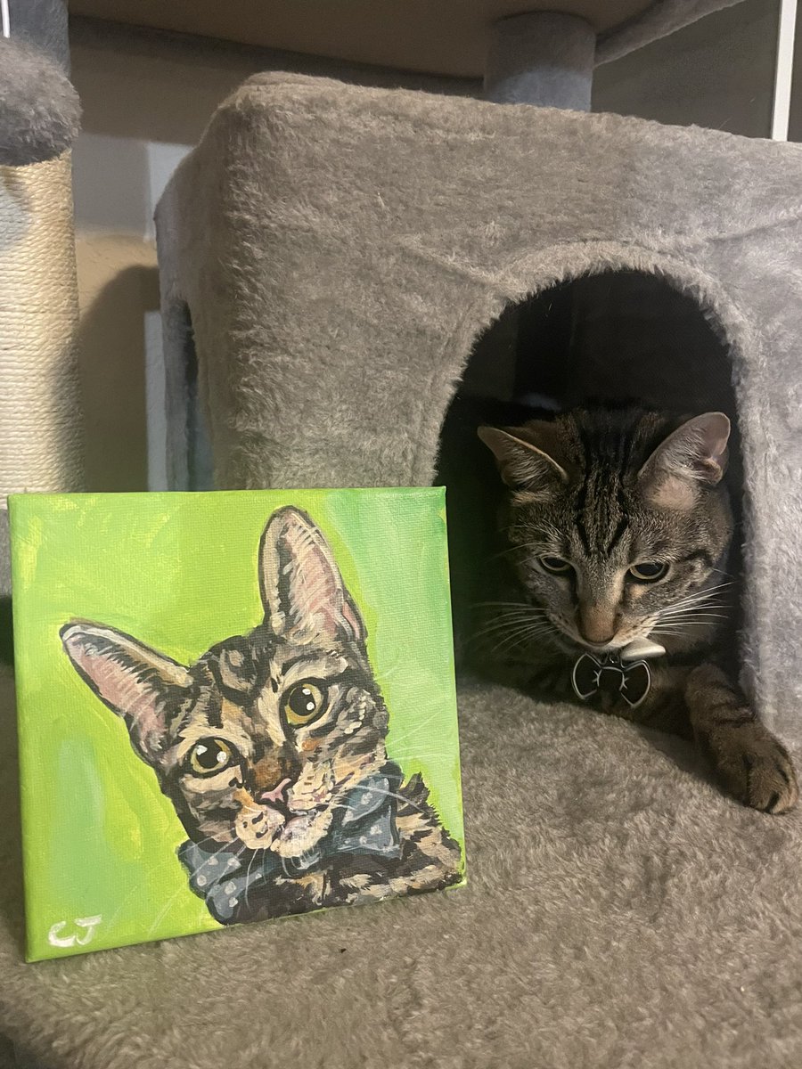 nejeda33's tweet photo. Hey @Chewy, Hiccup says thank you for the surprise we got in the mail yesterday! https://t.co/Ju5JUaKeV6