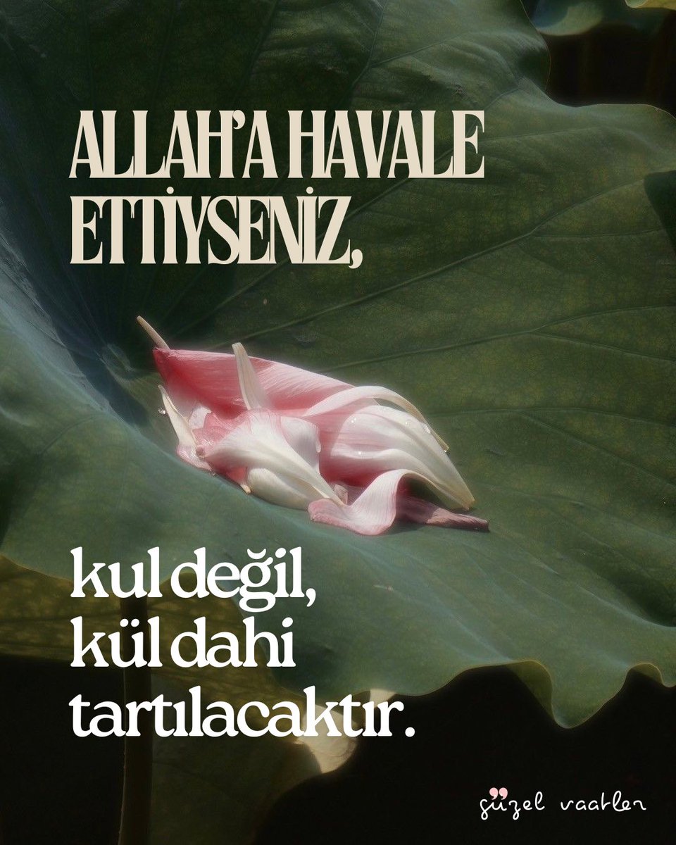 birbisnev's tweet photo. *kül dahi. https://t.co/tZaRFXRnKq