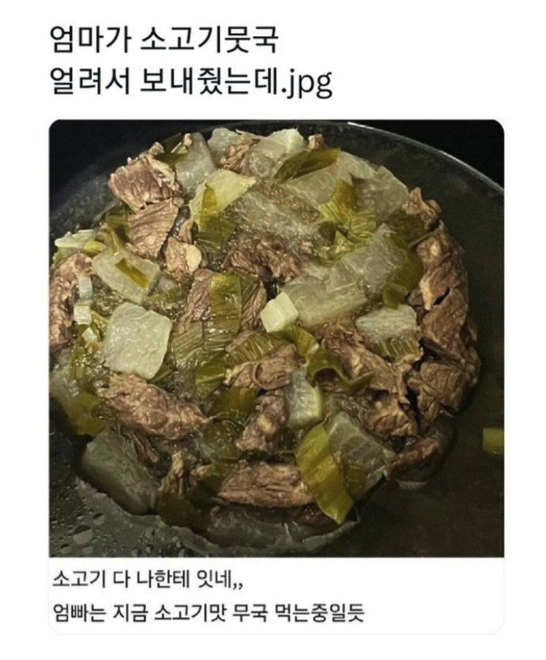 1114's tweet photo. 엄마가 소고기뭇국 얼려서 보내주심 https://t.co/eEK8ths5D7
