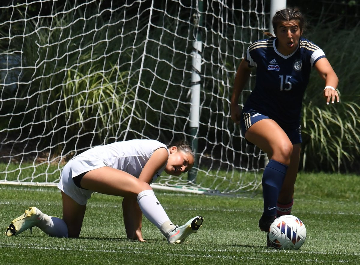 MIPrepZone's tweet photo. GIRLS SOCCER: A Dream Team quartet and 17 first-teamers were among those from Oakland County who picked up postseason honors from the @MiSoccerCoaches >> https://t.co/Wn5gNeiPVb

@MarianAthletics @troy_colts @DCDSAthletics @athletics_adams https://t.co/ld5AP639SL