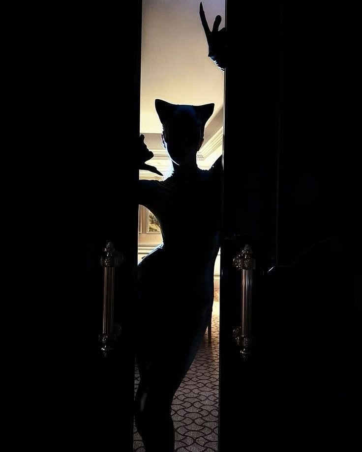 KyleCatw's tweet photo. #MeOwW 💥💥💥❤️🔥💥💥💥
#FF #Catwoman https://t.co/j1DOg4eg4S