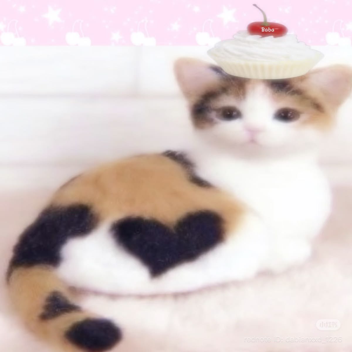 aerifeed's tweet photo. how pinterest sees me :p

(your name) core
cat
album cover
drink https://t.co/iEUQPvIQKL