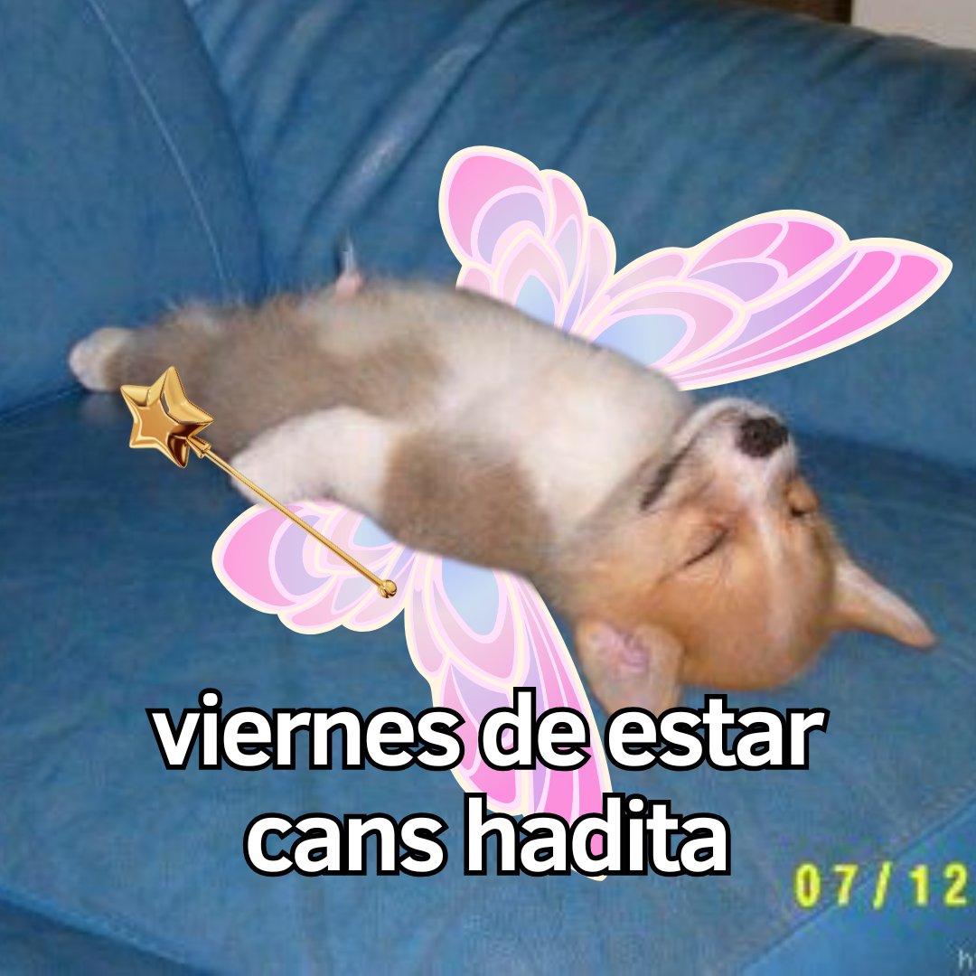 enviaflores's tweet photo. https://t.co/HVxZ2hUDDD