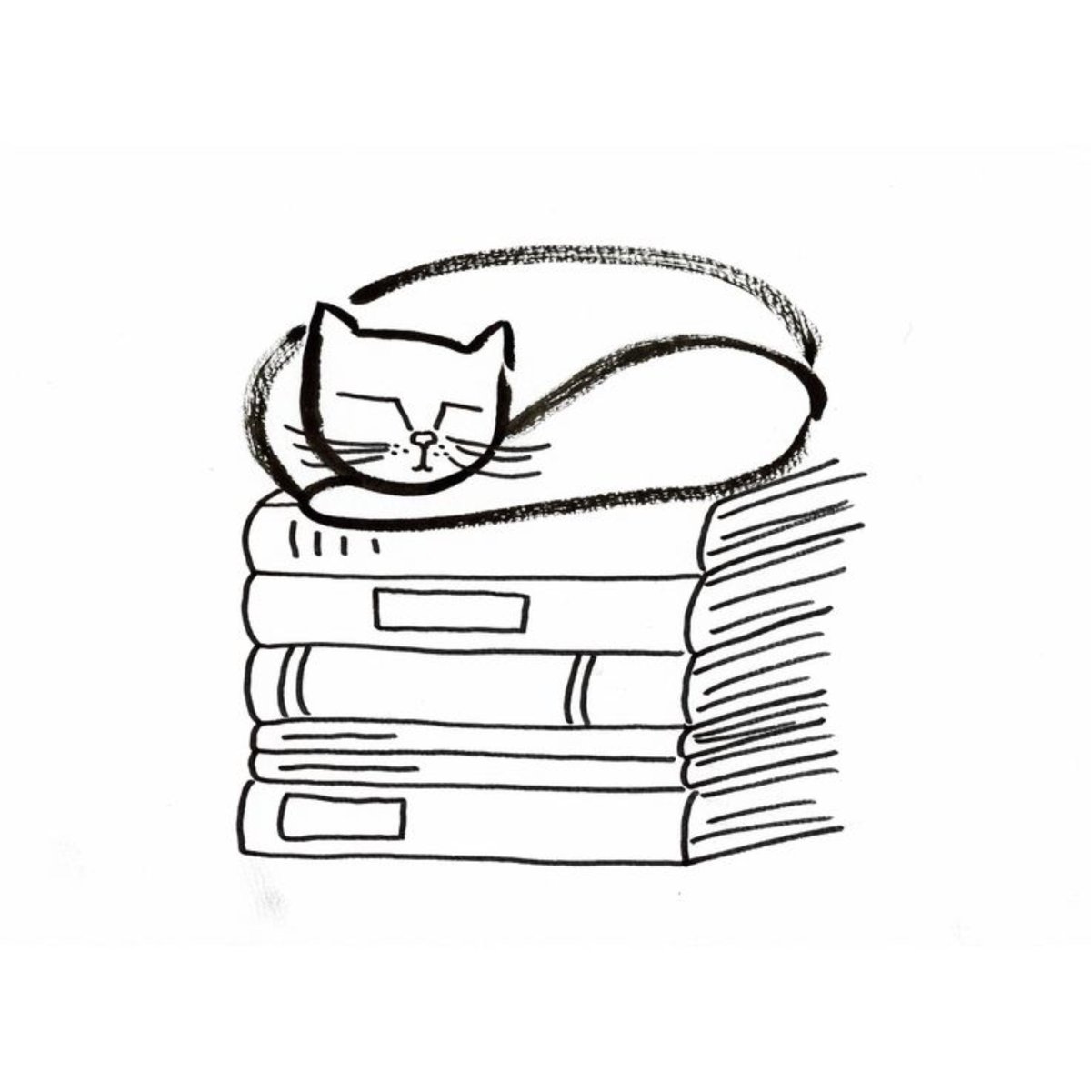 zhascafe's tweet photo. hola! soy zahira (bs. as, argentina) 🤍
leo de todo, pero siempre vuelvo a los clásicos y la poesía. me gustan las reseñas y hablar de libros.
🖊️ emily dickinson, cortázar, pizarnik,
también comparto arte, animales y cosas de los redondos.

📚 #integracionbooktw #booktw @ro6sies https://t.co/lbNkONCHGC